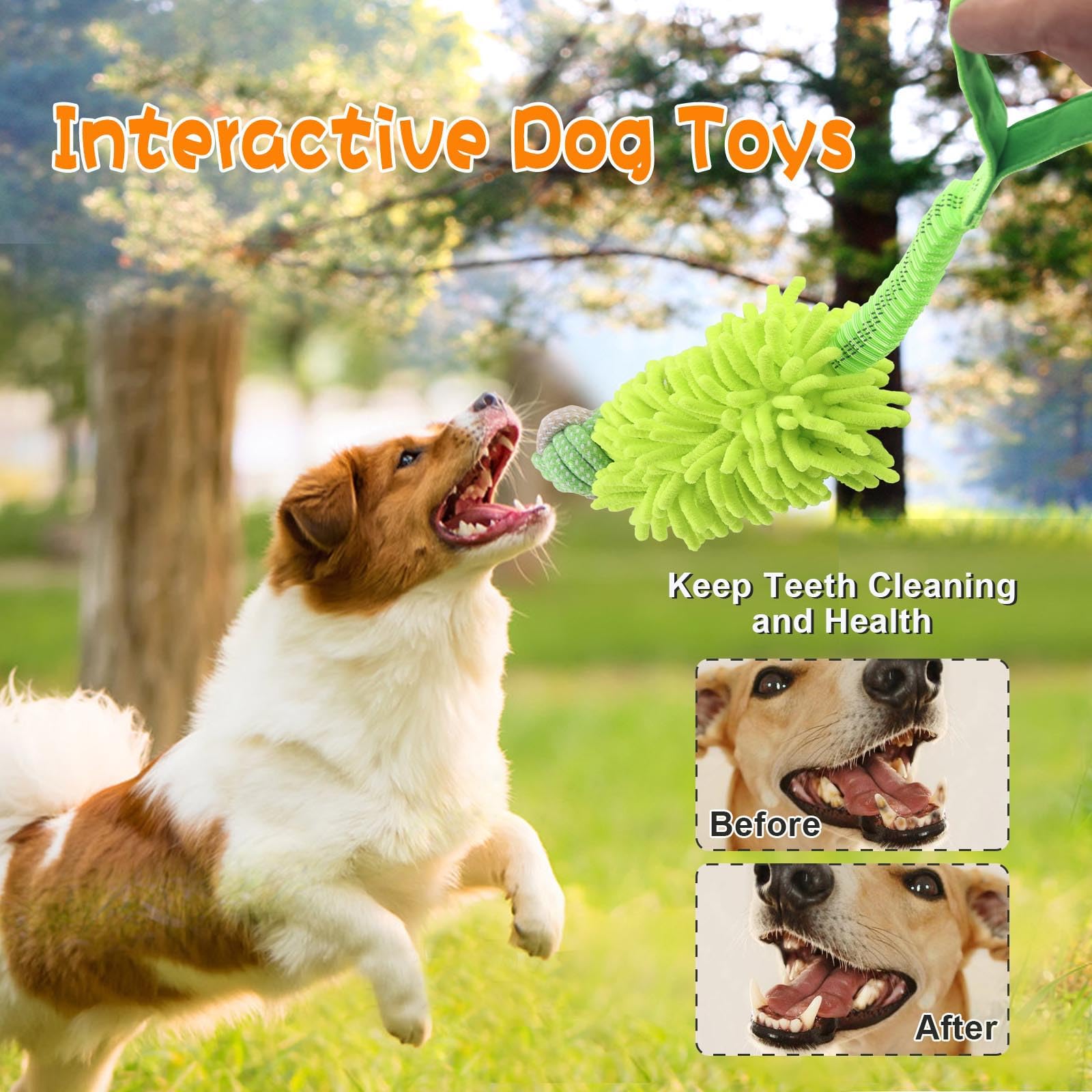 Wodoca durable tug-of-war toy supports strong chewers and fetch games
