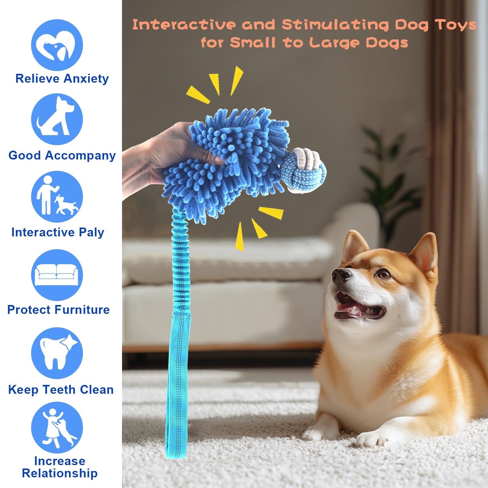 Wodoca retractable-length toy adapts for tugging and chewing.