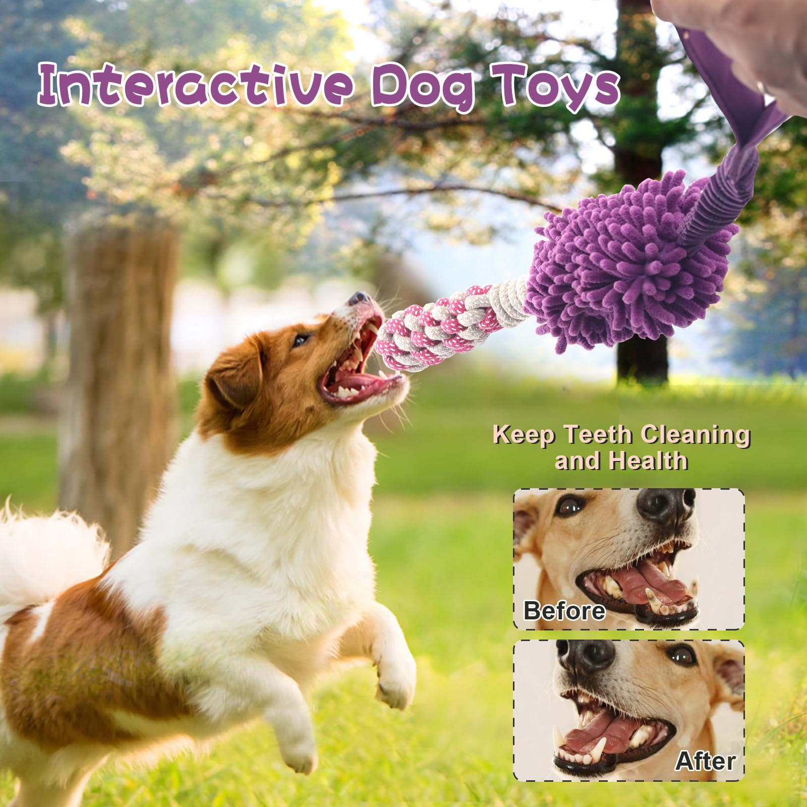 Wodoca purple chew rope toy ready for indoor and outdoor play