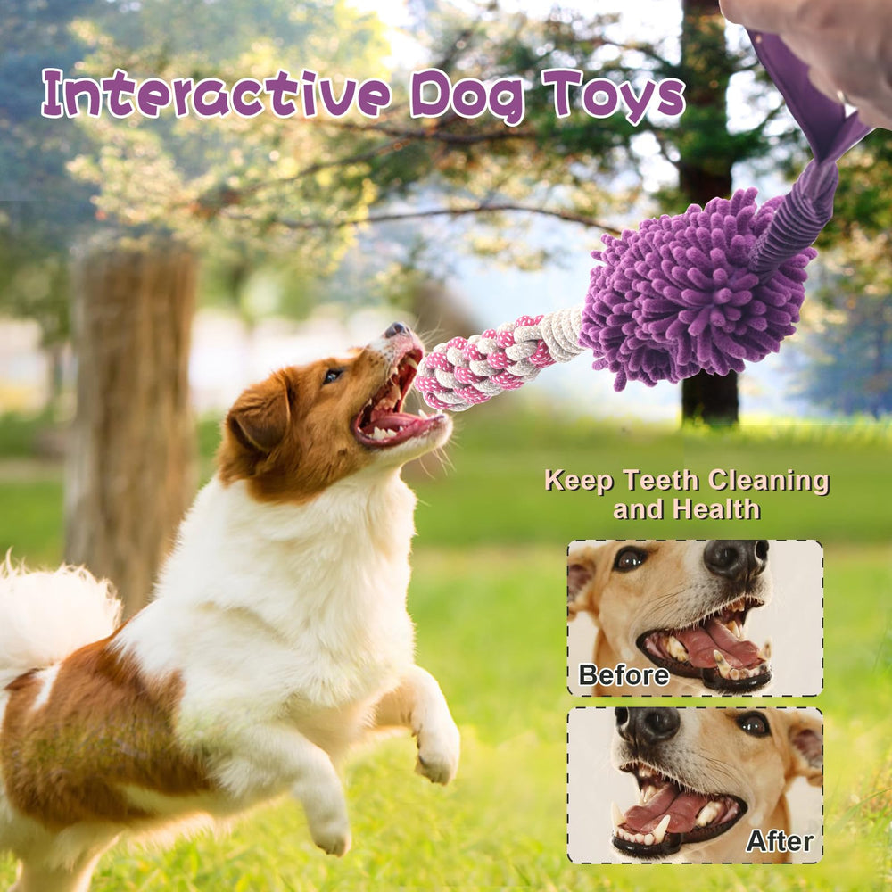 Wodoca purple chew rope toy ready for indoor and outdoor play