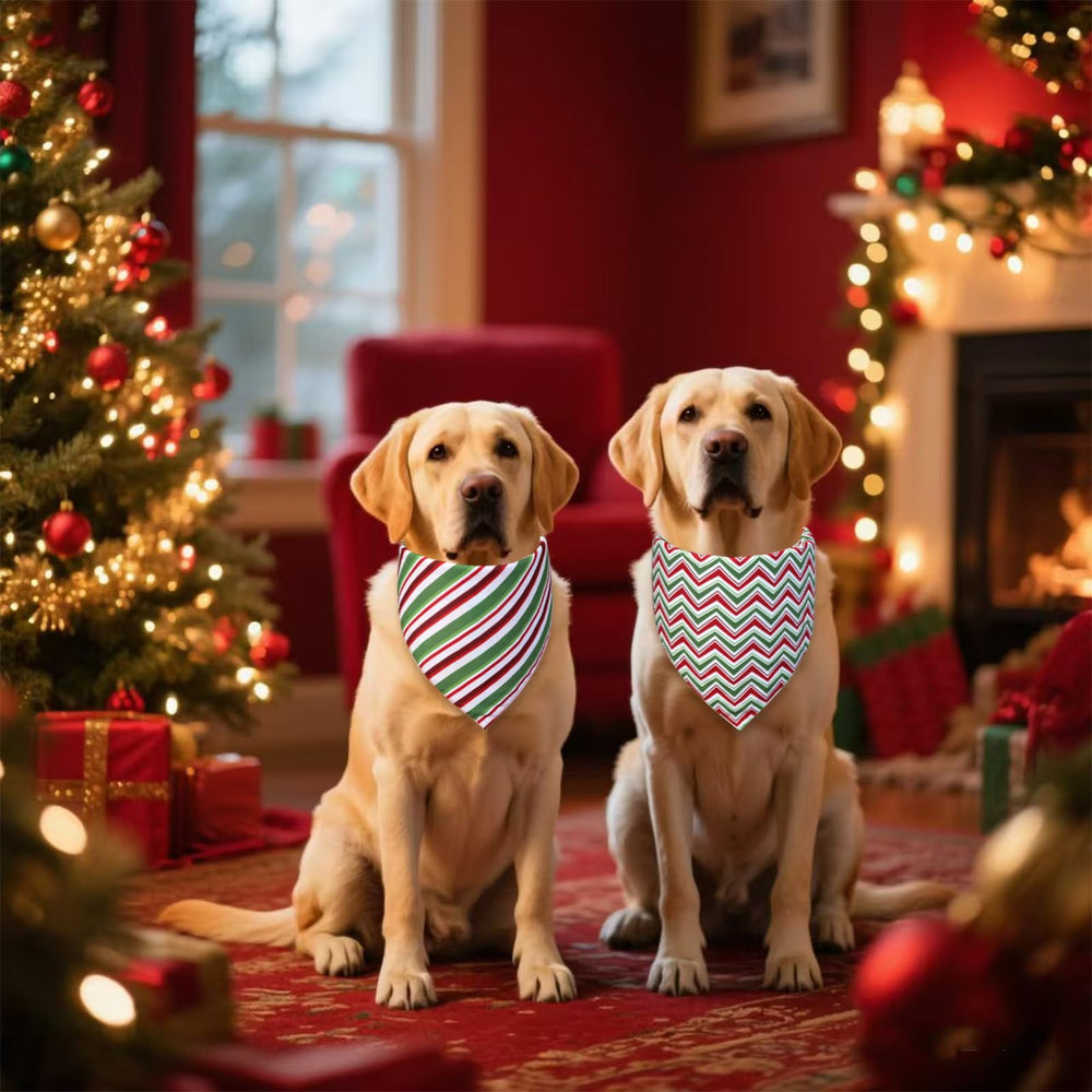 WoffBow dog wearing JOY-striped bandana during playful indoor parade
