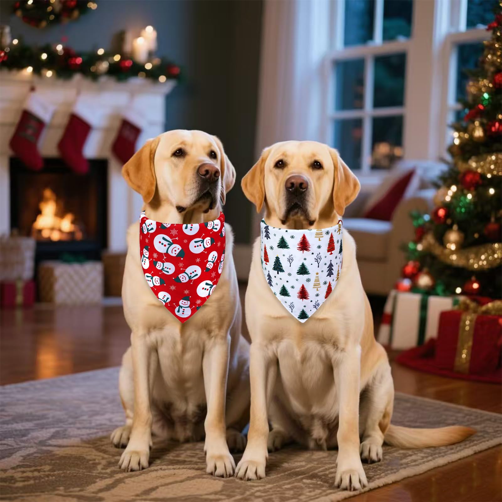 WoffBow bandana for dogs boosts cute moments during tree decorating and snuggle time.