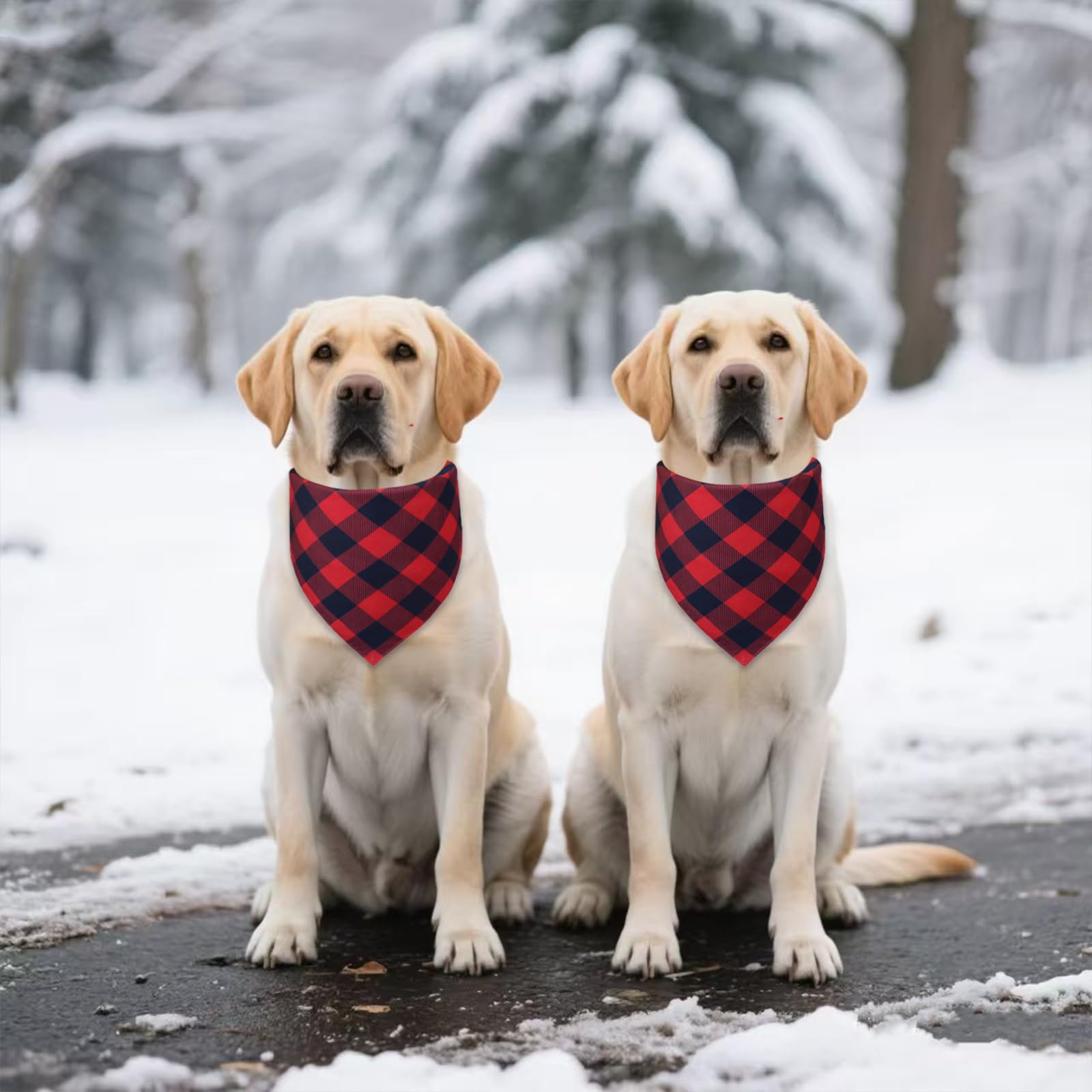 WoffBow photo-ready holiday moments with your pup during walks or cuddles