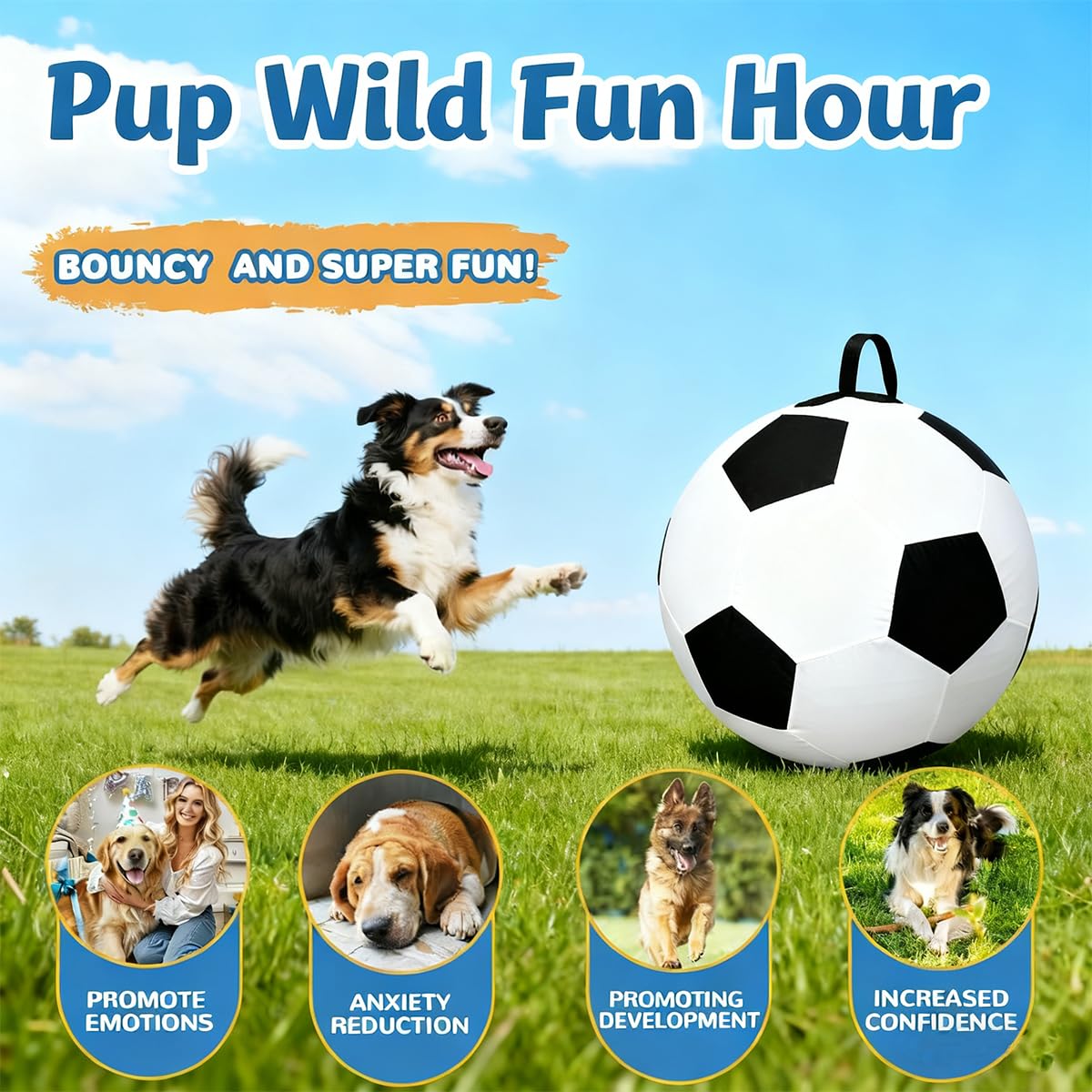 Wofypetny 25inch Herding Ball training session portrays recall practice and mental stimulation.