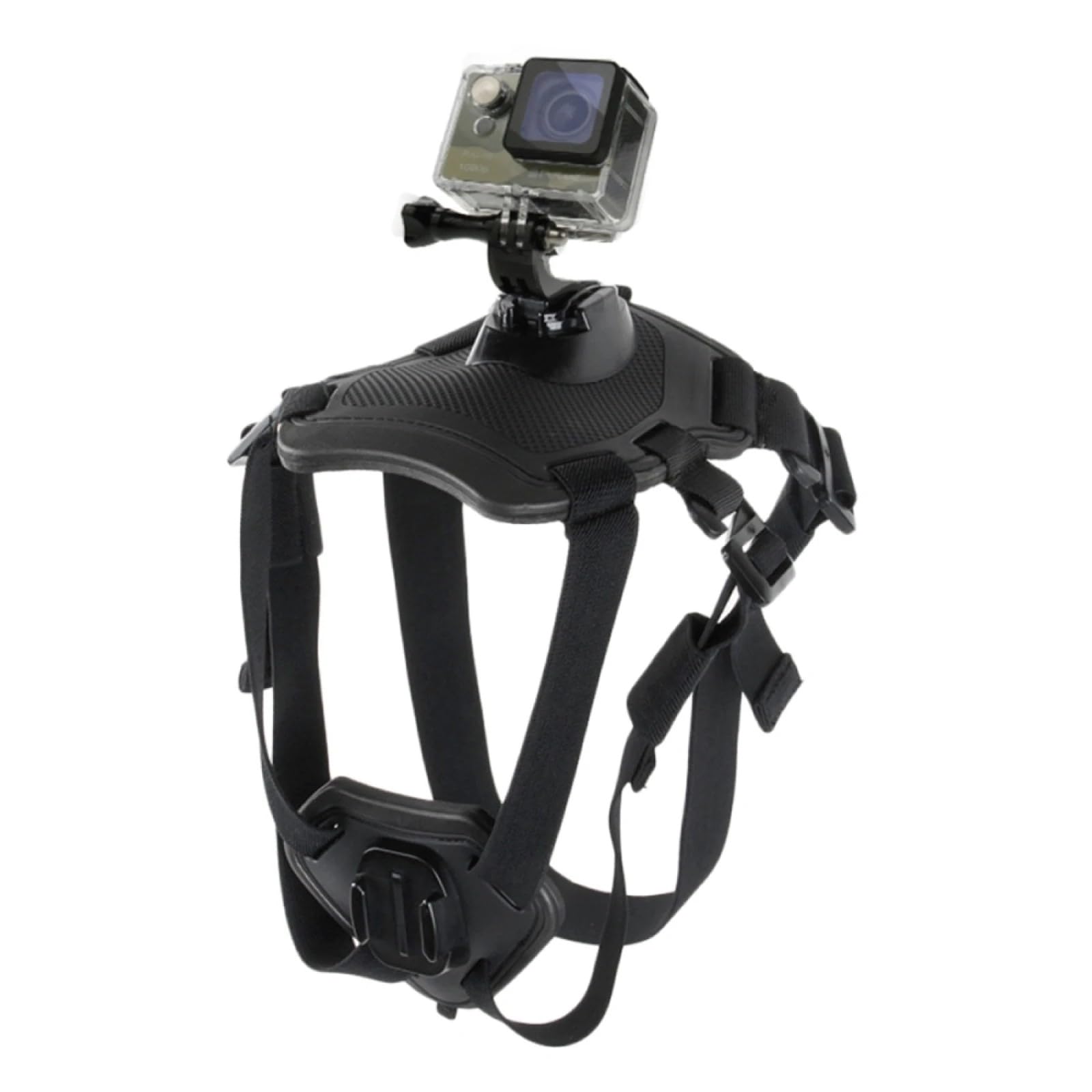 Wogerplu dog harness back mount for GoPro records head-level adventures