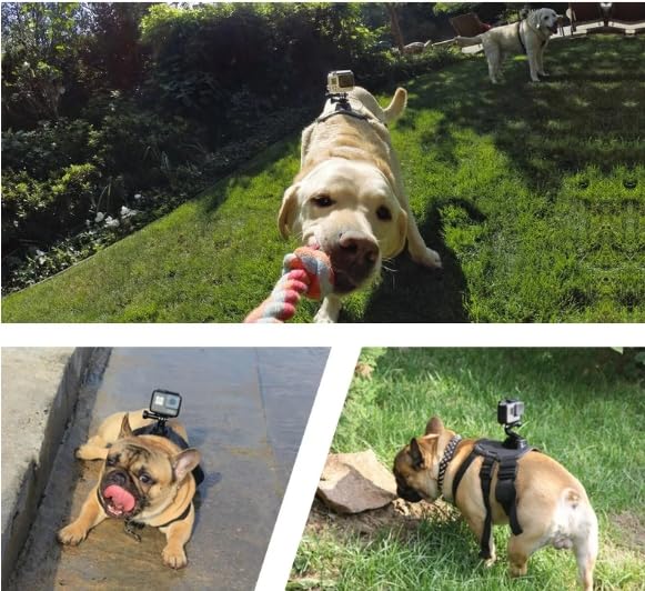 Wogerplu dog harness fits 15–120 lbs across sizes