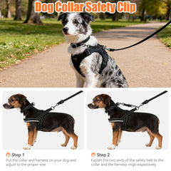 WOINXENN adjustable backup safety strap for added dog safety during outdoor activities.