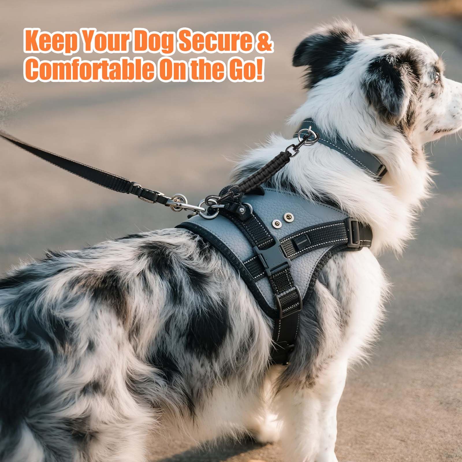 WOINXENN dog-walk scenario image highlights secure connection during outdoor adventures.