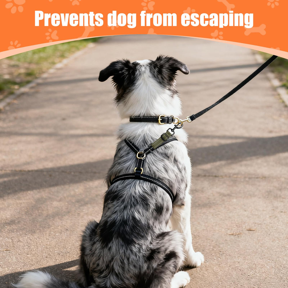 WOINXENN universal harness to collar adapter fits small to large dogs for varied activities