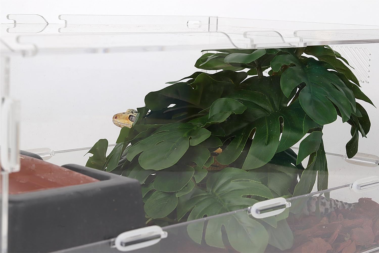 WOLEDOE reptile plants durable decor for bearded dragon, gecko, and other terrarium residents.