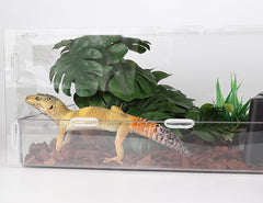 WOLEDOE reptile plants easy cleaning close-up highlights simple wipe-down upkeep.