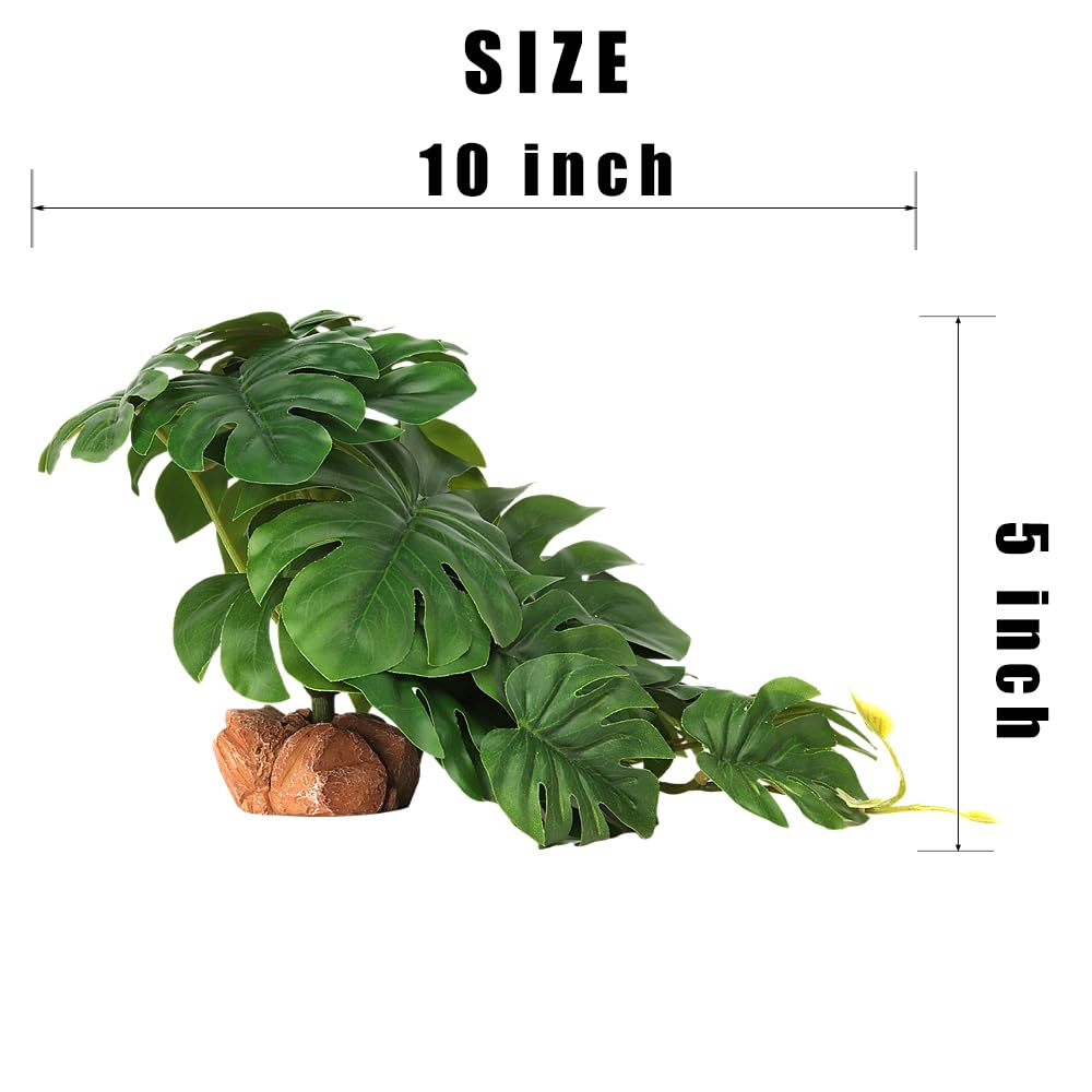 WOLEDOE reptile plants rock-base view shows stable, natural-looking terrarium decor.