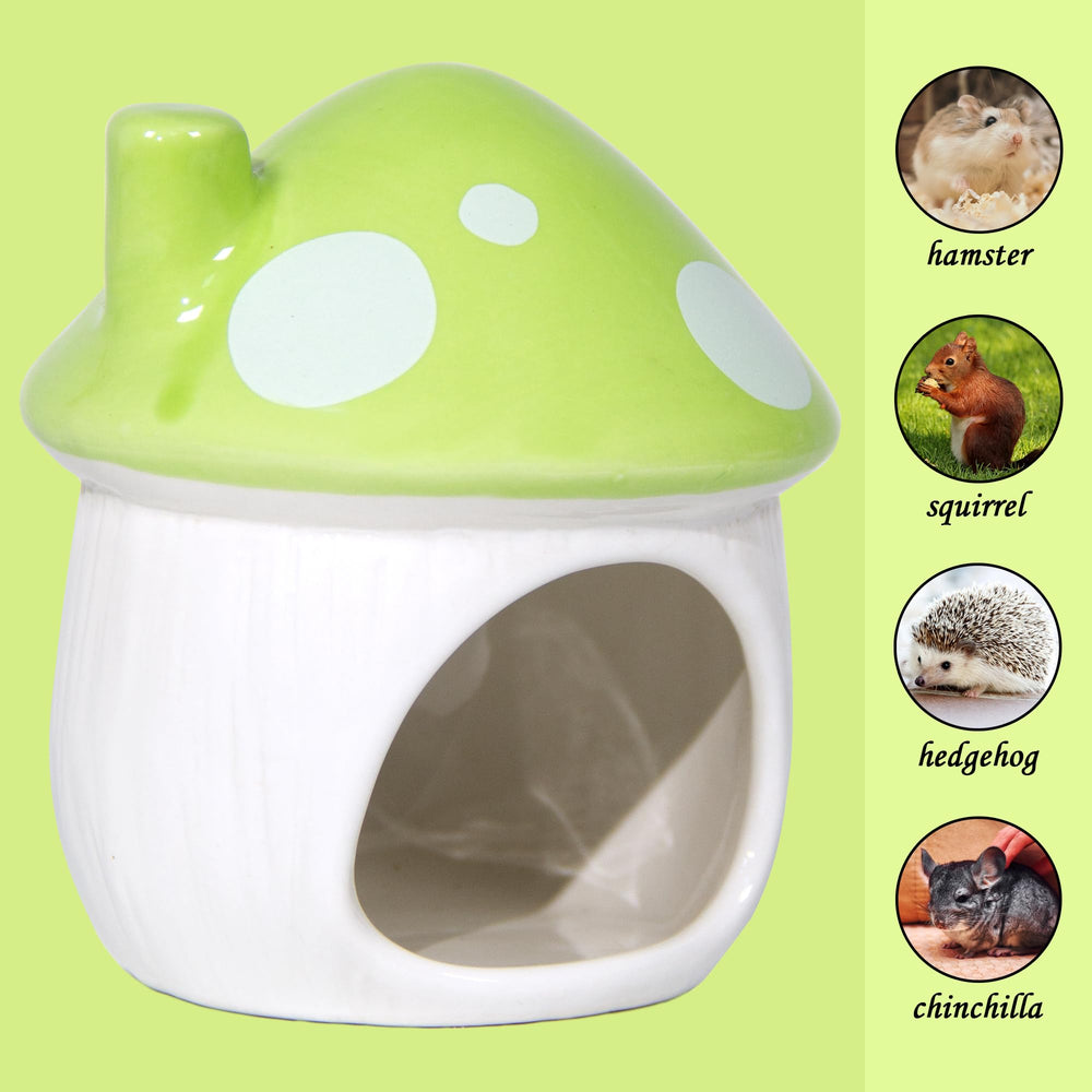 Woleigiao ceramic mushroom habitat packaging shows ready-to-use design.