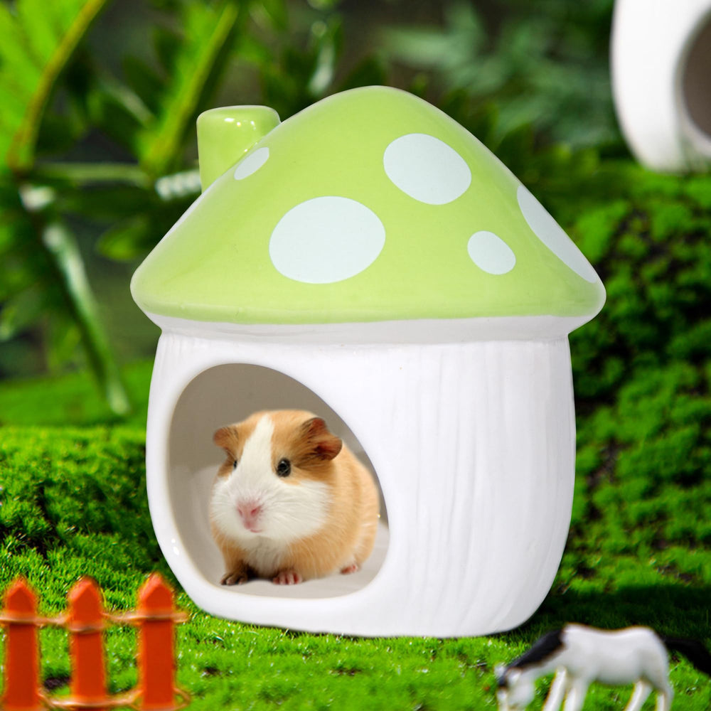 Woleigiao green mushroom pet house image highlights color and cozy hiding spot.