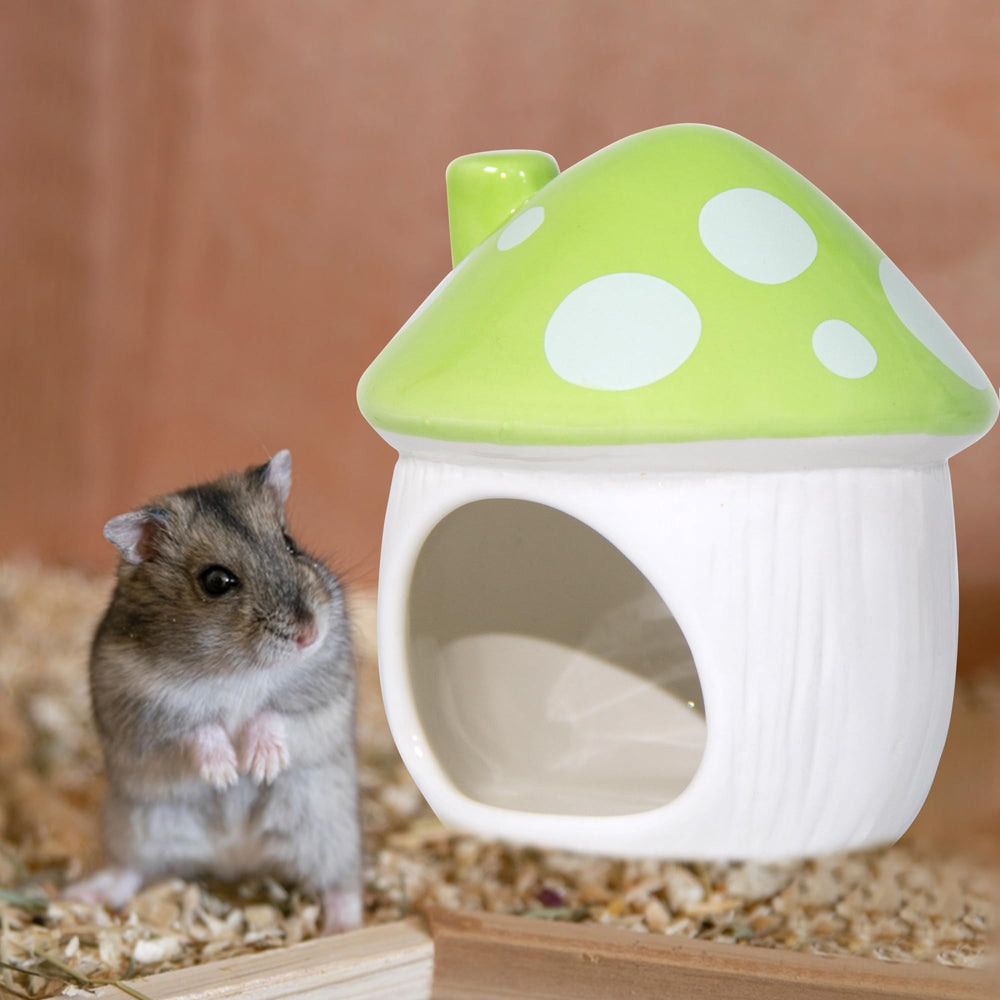 Woleigiao small-pet habitat offers safe ceramic shelter for guinea pigs and hamsters.