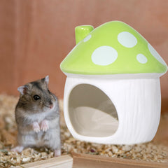 Woleigiao small-pet habitat offers safe ceramic shelter for guinea pigs and hamsters.