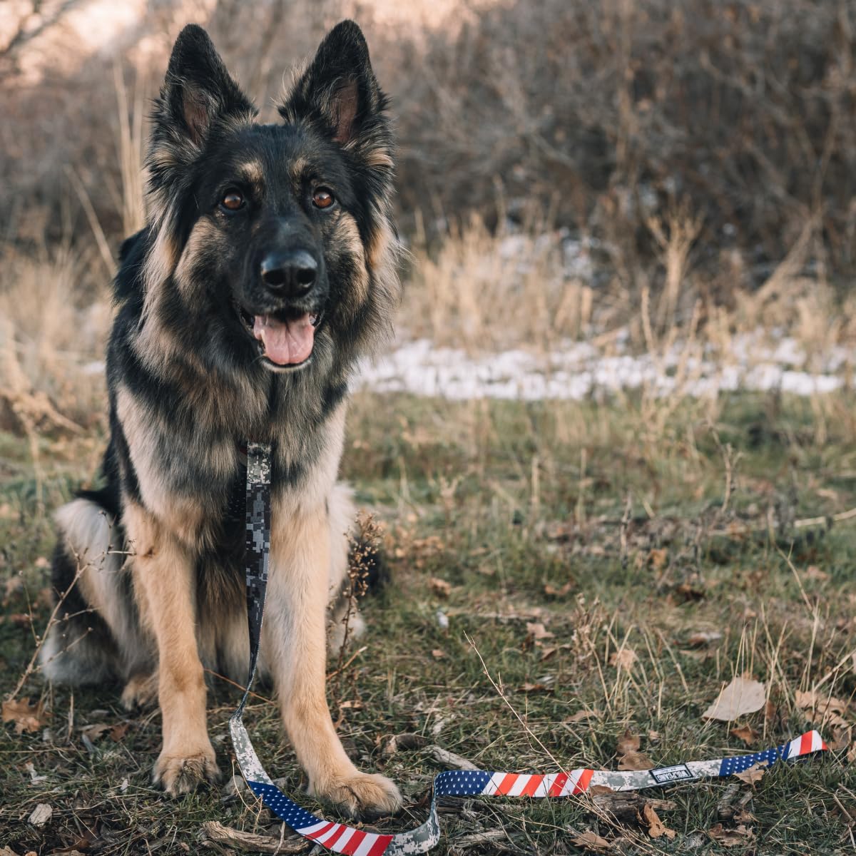Wolfgang adjustable strap close-up demonstrates customizable fit for any dog