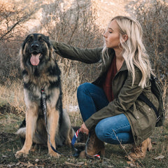 Wolfgang harness in use during a walk shows comfort and control