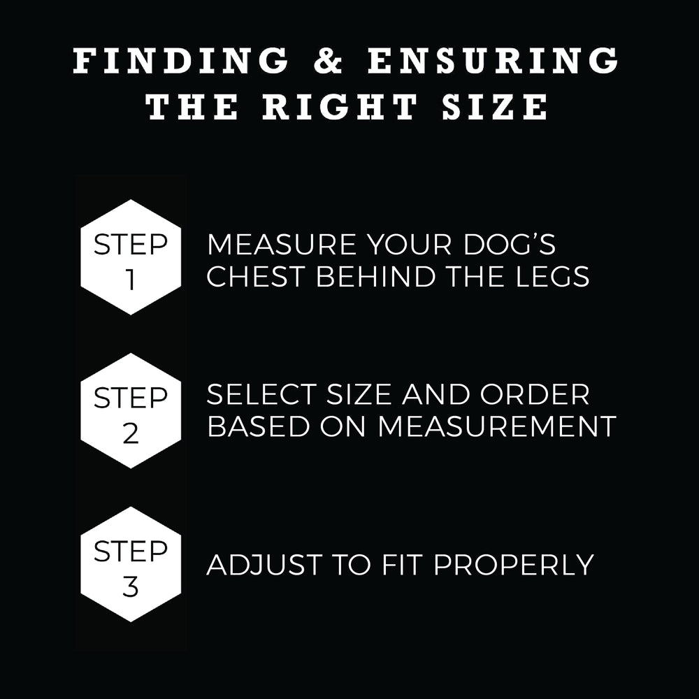 Wolfgang Heavy Duty Adjustable Dog Harness NightOwl Small nylon webbing withstands daily wear