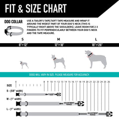 Wolfgang Man & Beast Heavy Duty Collar welded D-ring close-up for secure leash attachment.