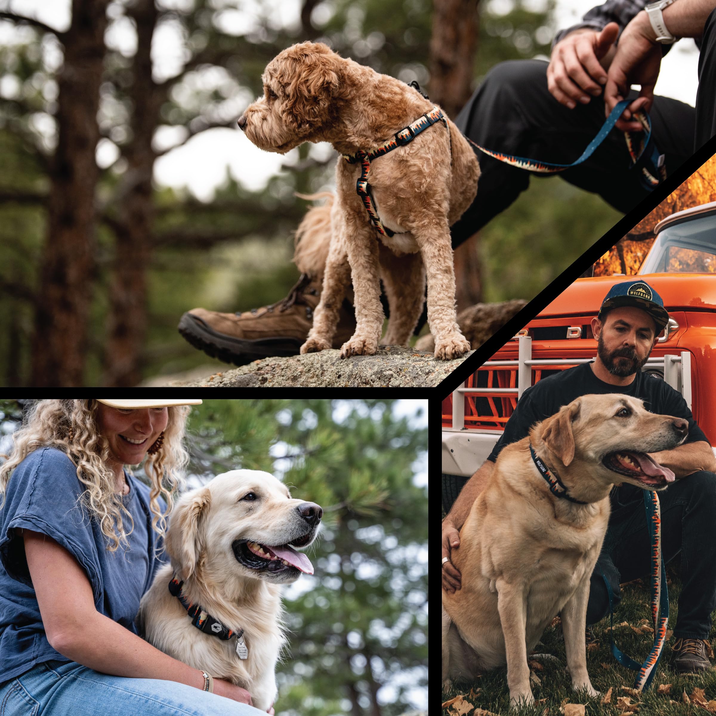 Wolfgang Man & Beast Heavy Duty Collar outdoor-walk scene overland print emphasizes rugged durability.