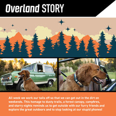 Wolfgang Man & Beast Heavy Duty Collar quick-release buckle close-up for easy on/off during training.