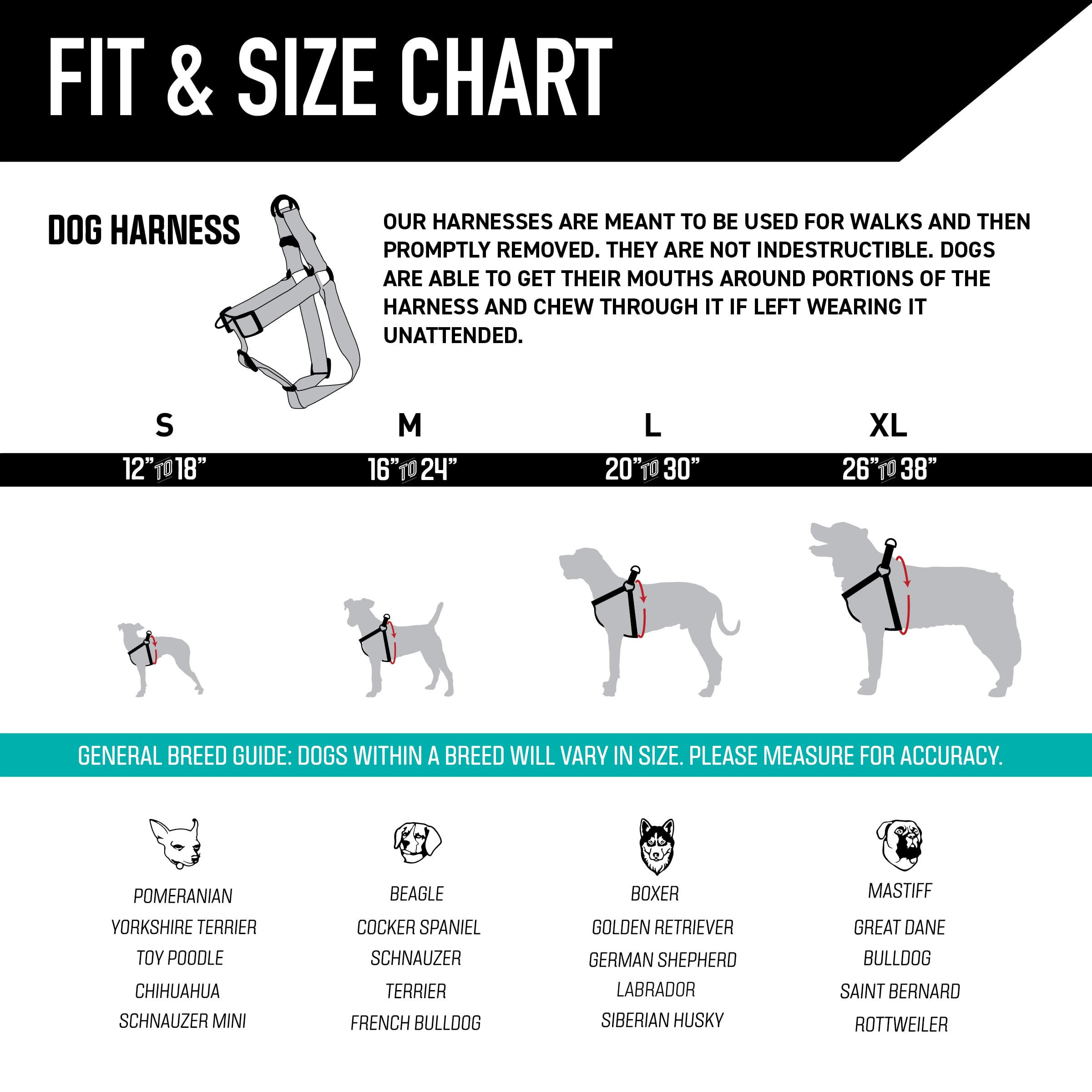 Wolfgang heavy-duty harness pull-testing graphic indicates strength to support powerful dogs