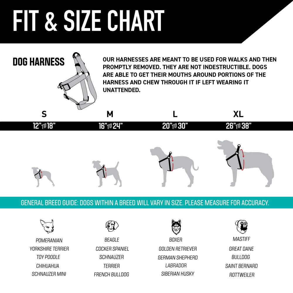 Wolfgang heavy-duty harness pull-testing graphic indicates strength to support powerful dogs