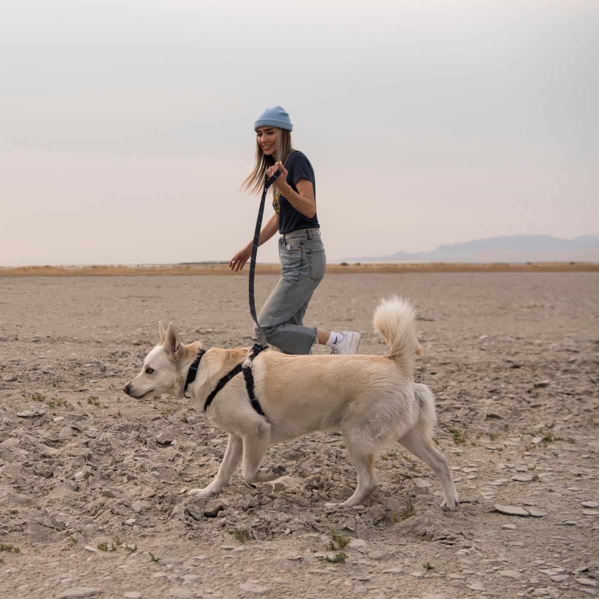 Wolfgang Heavy Duty NightOwl Small weather-ready fabric demonstrates UV and stain resistance