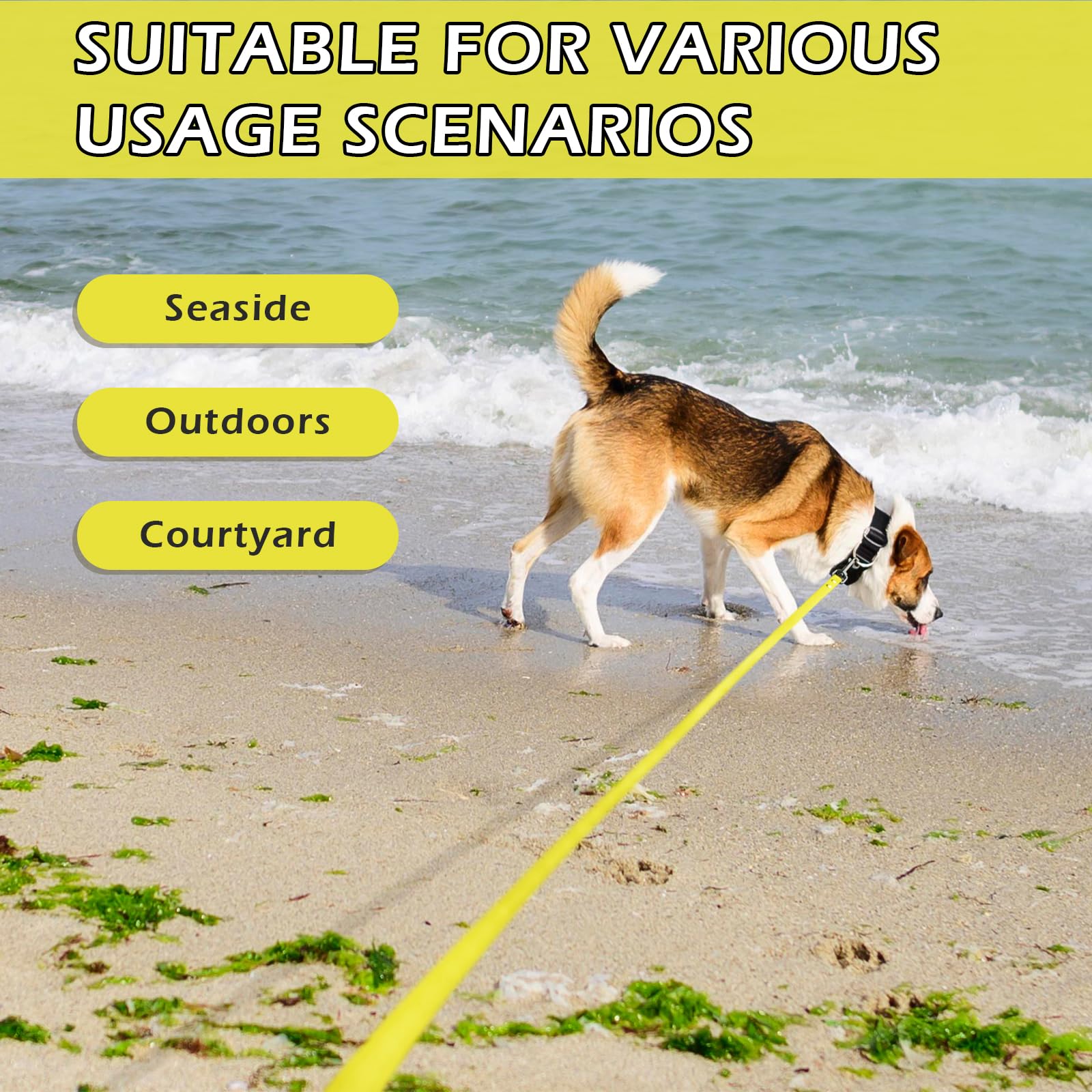 Wolfone heavy-duty clasp remains reliable with energetic pups during play.