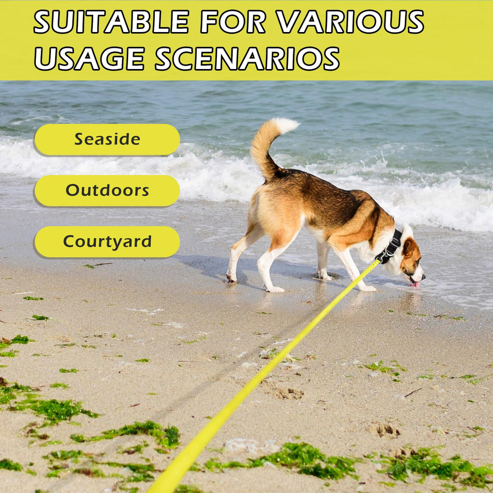 Wolfone heavy-duty clasp remains reliable with energetic pups during play.