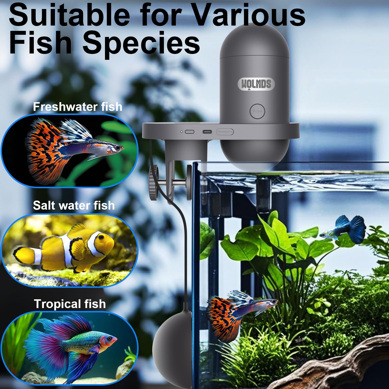 Wolmds Automatic Fish Feeder 2.5K camera view enables real-time tank monitoring.