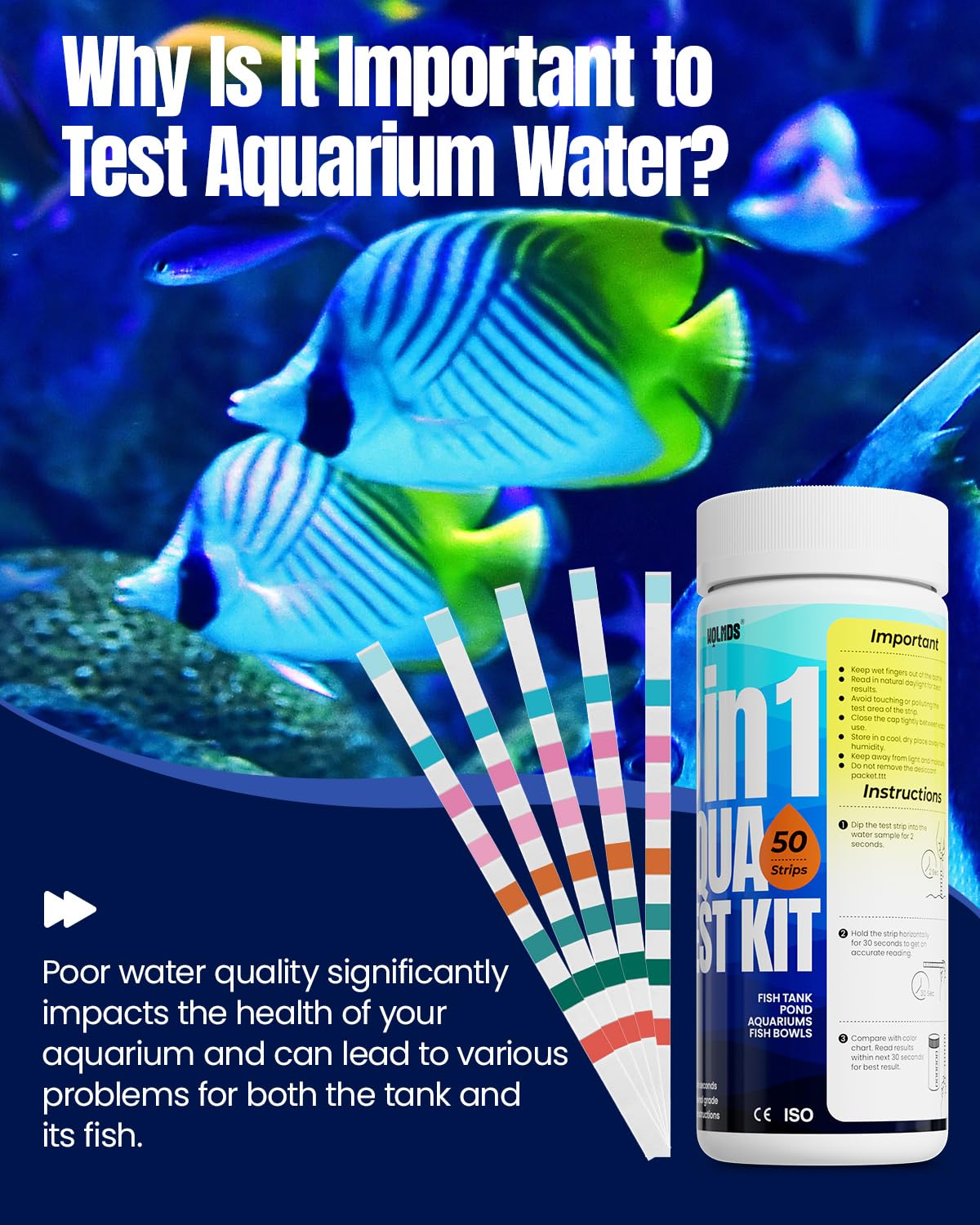 Wolmds weekly testing setup illustrates routine checks for healthier fish.