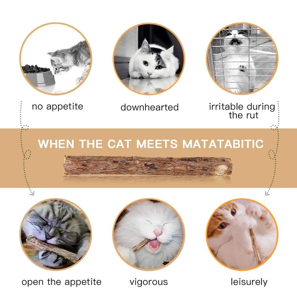 WoLover catnip-stick suitable for direct feeding or skin removal