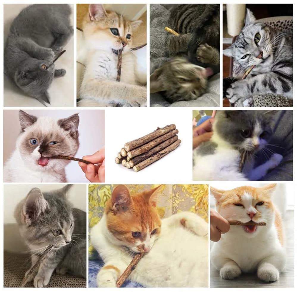 WoLover high-potency sticks suitable for most cats