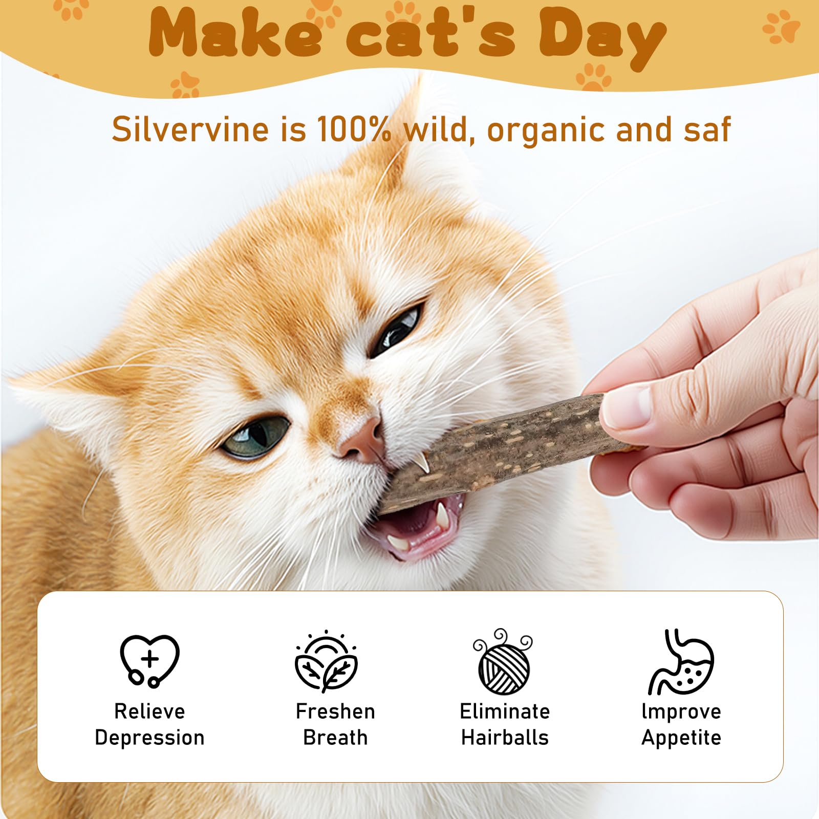 WoLover Silvervine sticks cat-chewing—attractive scent may encourage activity and playful interaction.