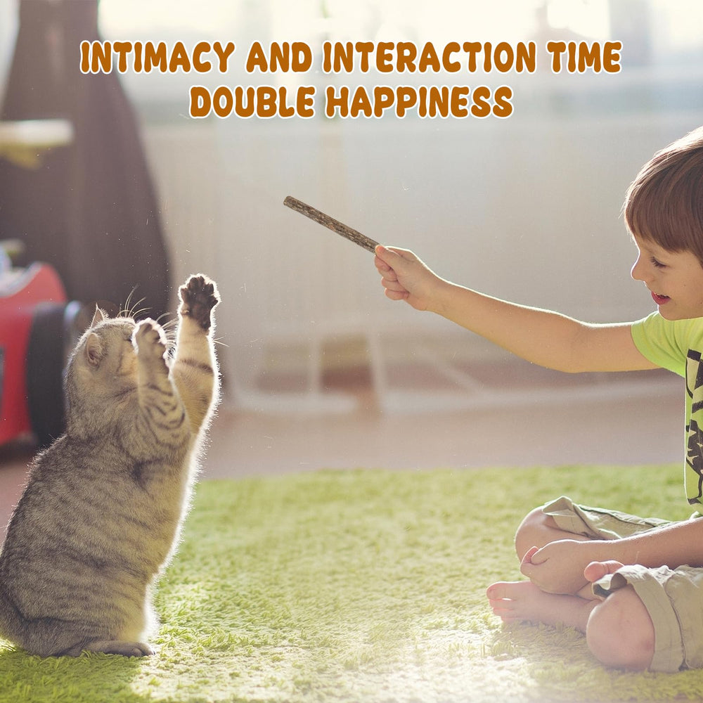 WoLover Silvervine Sticks happy cat – shows increased activity after chewing
