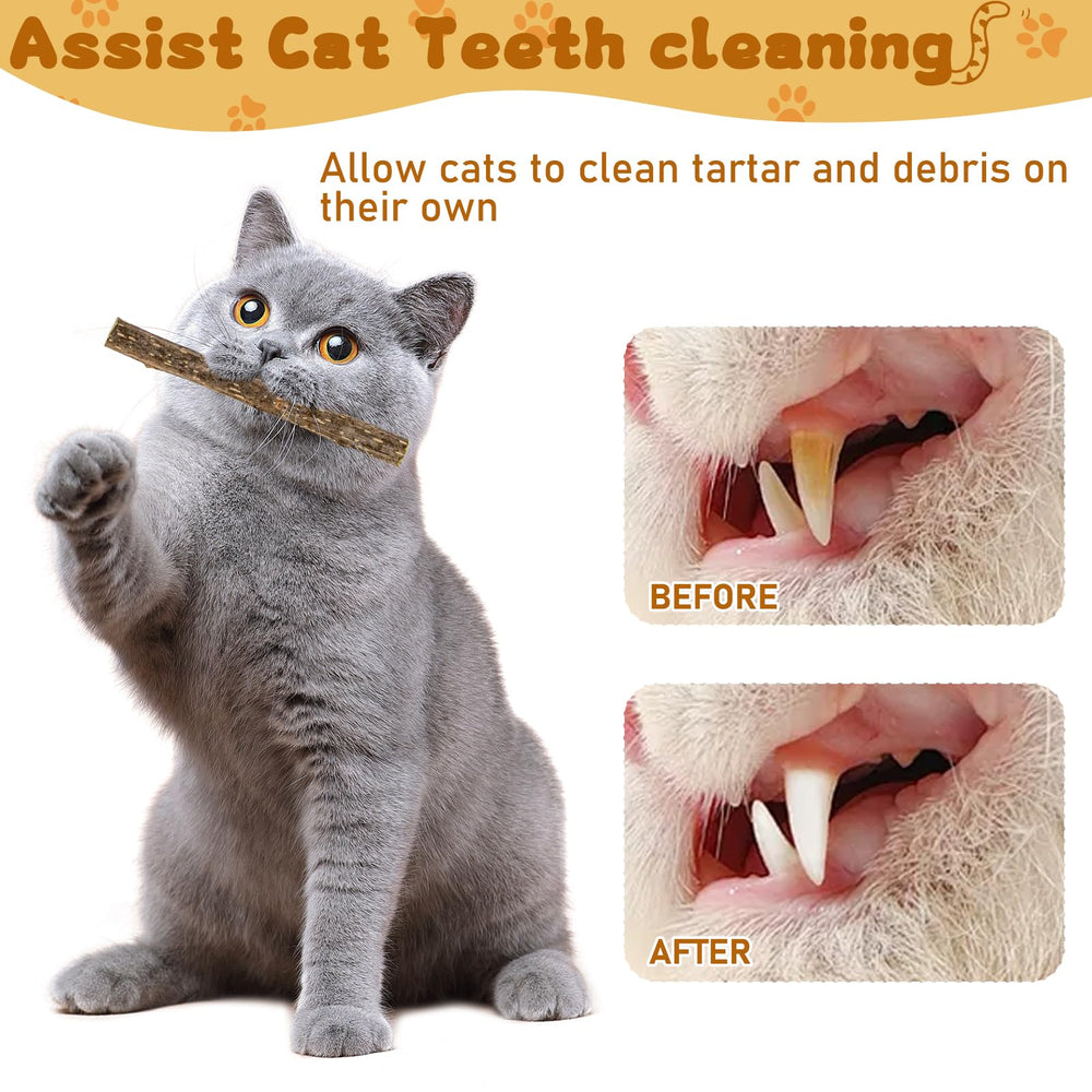 WoLover Silvervine sticks kitten-attraction—high potency may attract even shy cats to explore.