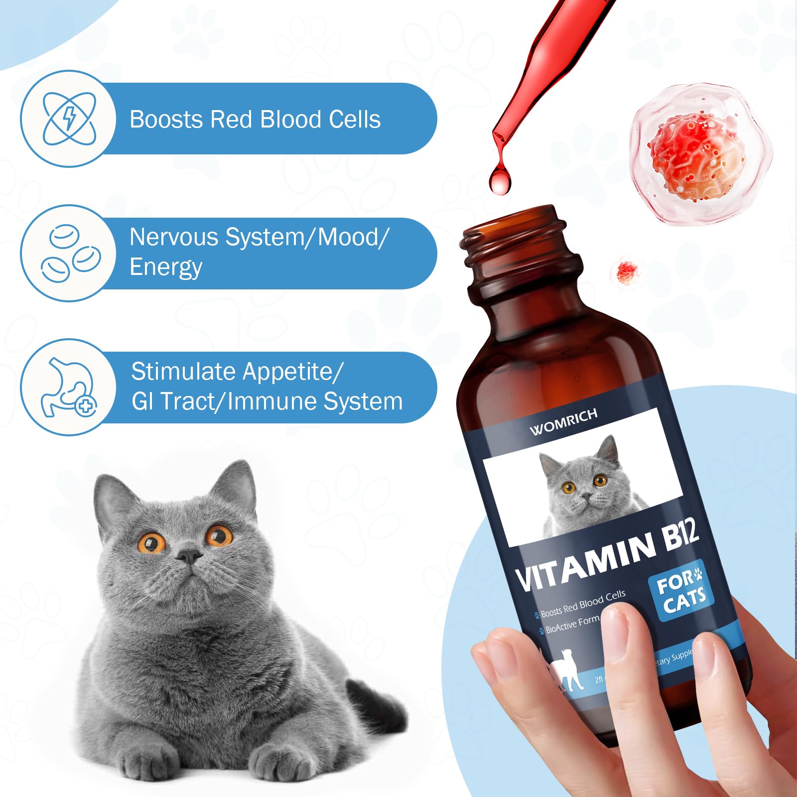 WOMRICH Cat Brain-Nerve Health B12 supports mental clarity.