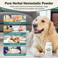 WOMRICH dog-vessel-support-capsules supports capillary health during recovery