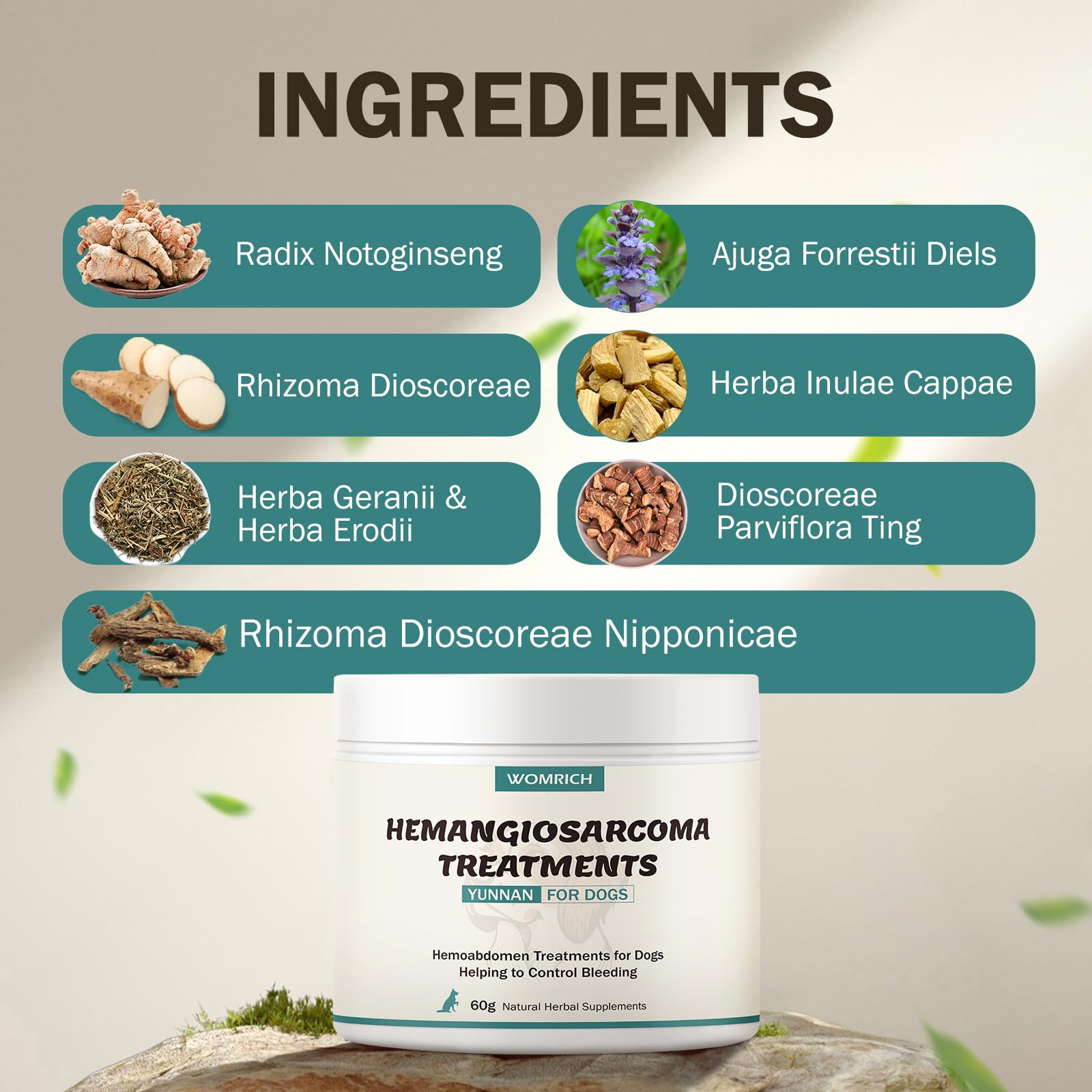 WOMRICH notoginseng blend for dogs supports vessel integrity in cancer-prone pets.