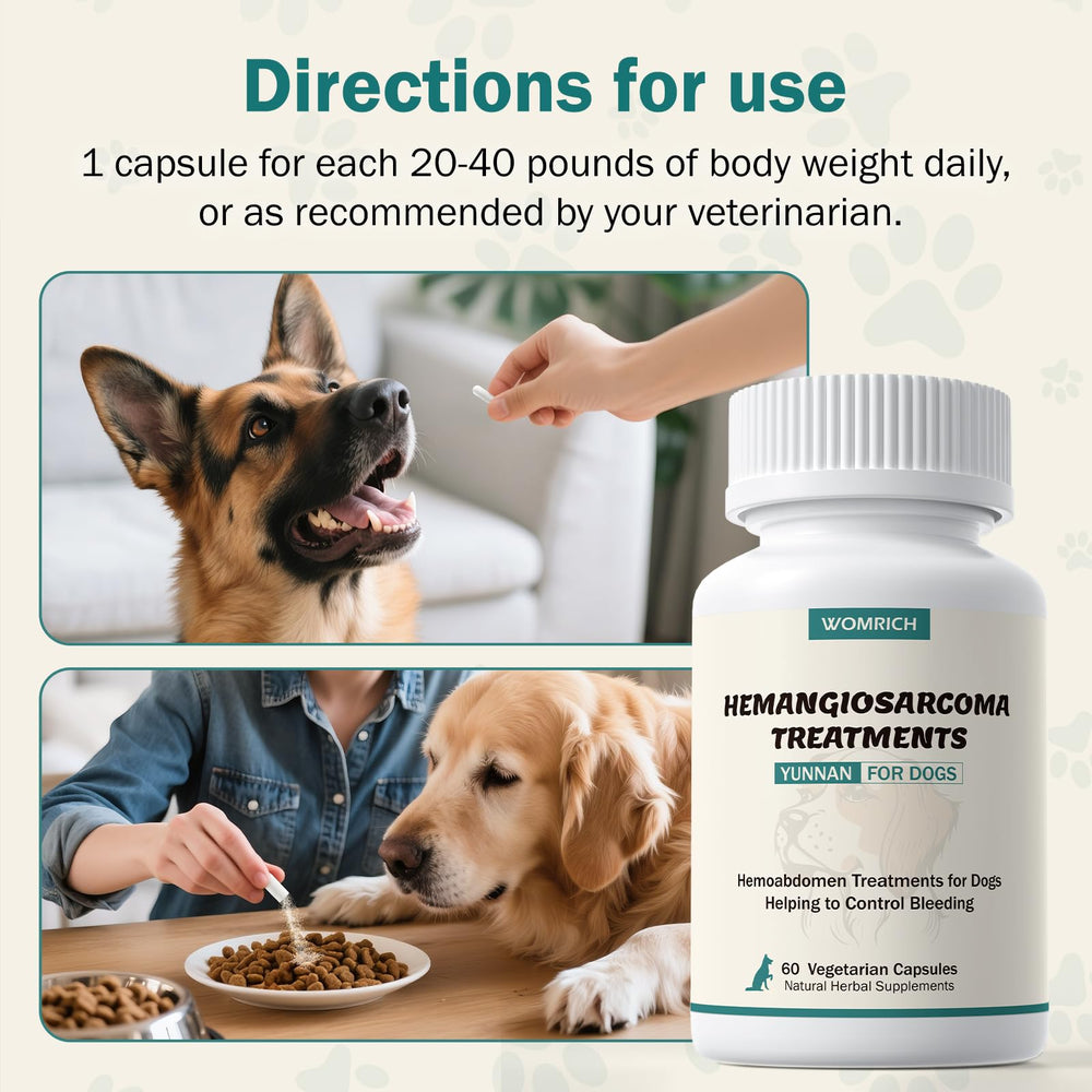 WOMRICH post-surgery-recovery-dog-capsules aids gentle support after stitches