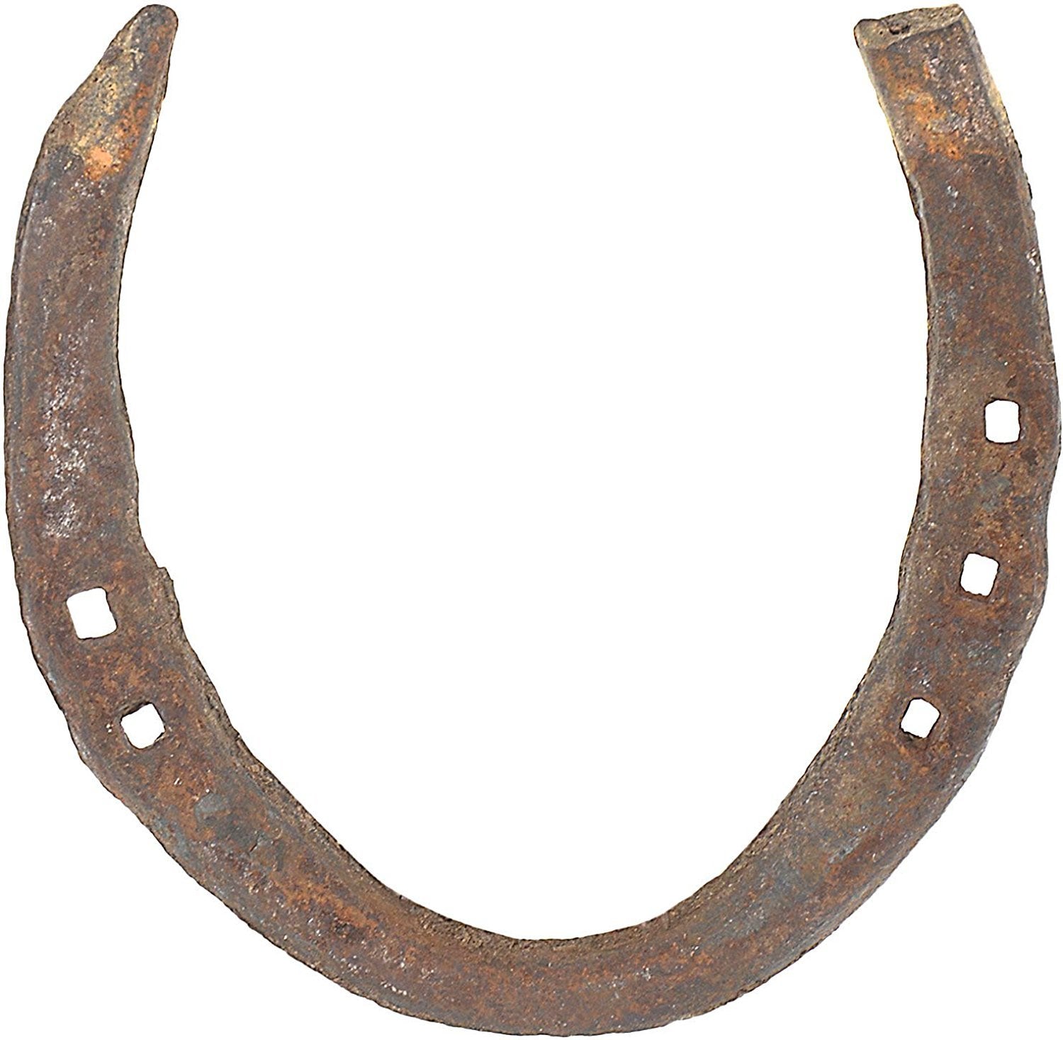 Wonder Care authentic horseshoe closeup highlighting rustic texture and luck symbolism