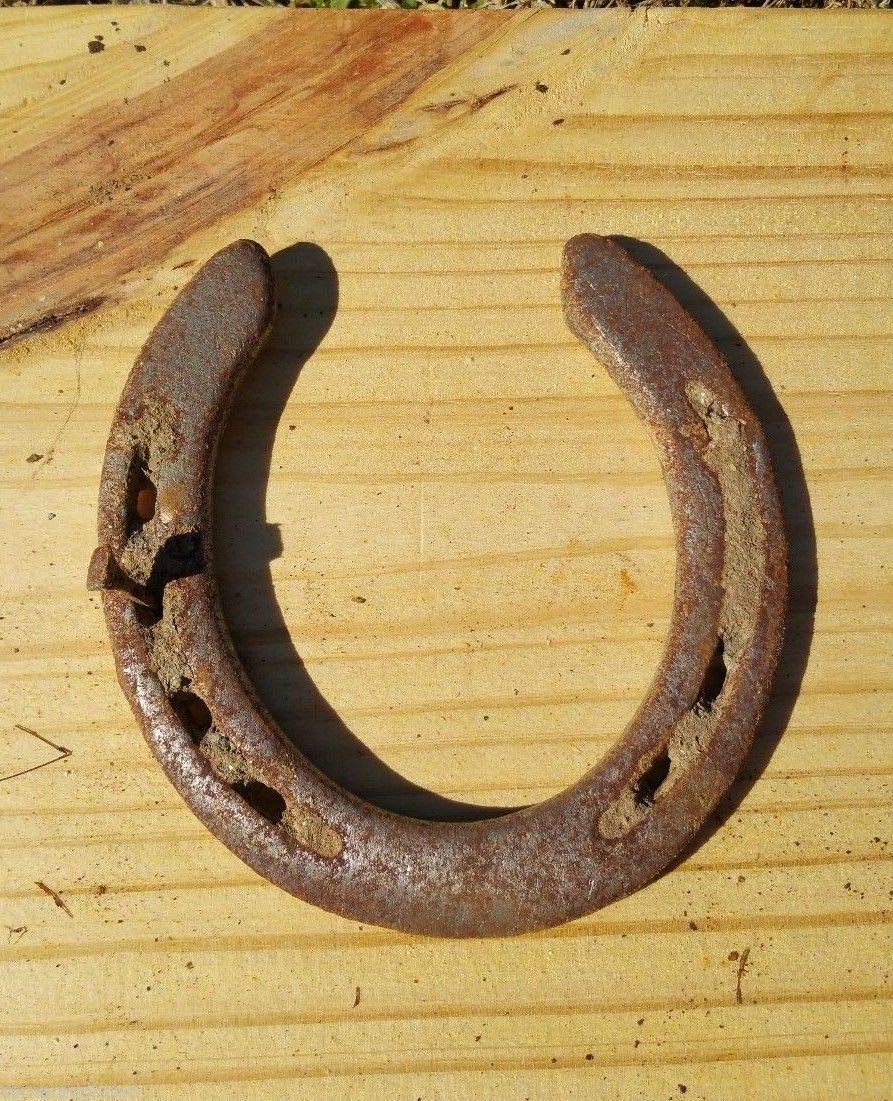 Wonder Care certificate-included authentic horseshoe with authenticity card