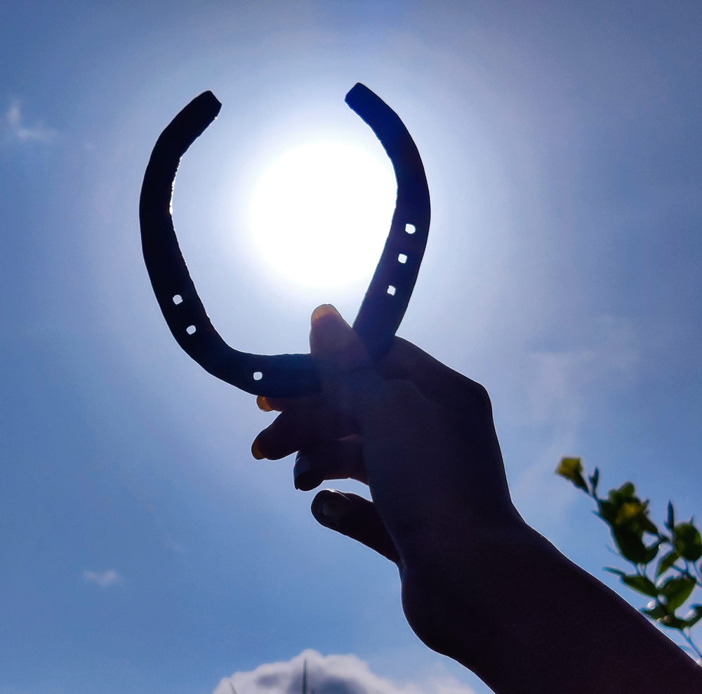 Wonder Care horseshoe easy-clean with wire brush maintenance