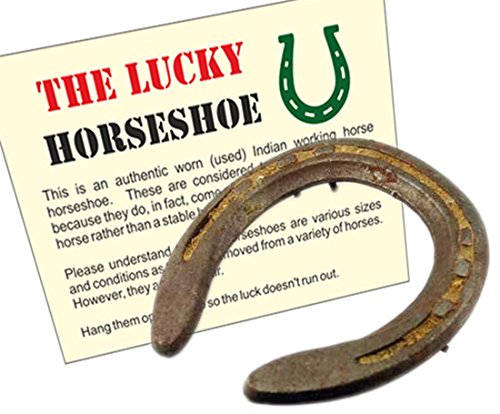Wonder Care horseshoe hanging for home luck and protection at entry