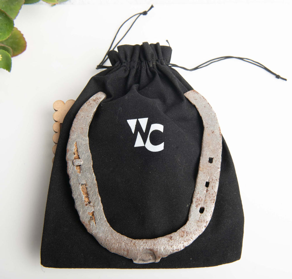 Wonder Care housewarming gift ready horseshoe for prosperity and good fortune