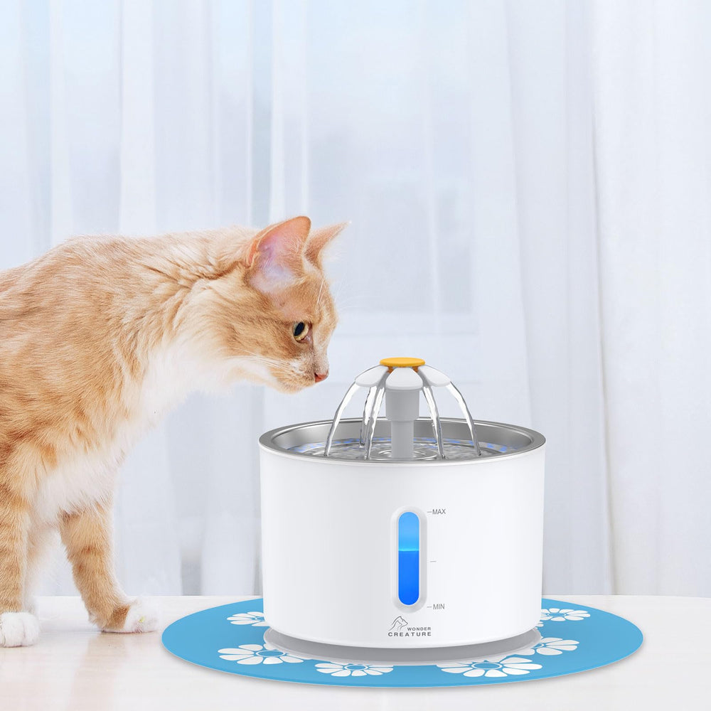 Wonder Creature cat water fountain in-use with pets enjoying flowing water showcases hydration in action.