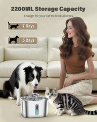 Wonder Creature Cat Water Fountain sponge filtration aids cleaning.