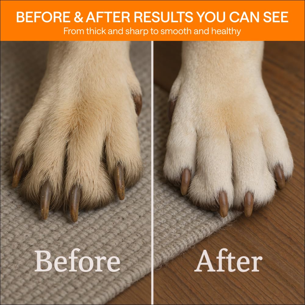 Wonder Family dog nail grinder comes in stylish gift box for dog lovers.